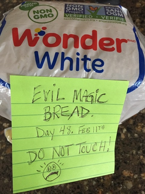 9E0FF9C4-ADD3-4DC0-BBEF-0F3E6448AFBC